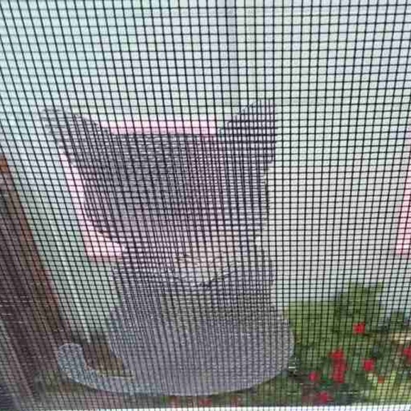 🐈 10 Pack Cat Shaped Window Screen Repair Stick-On Patches - NWT - Picture 2 of 9